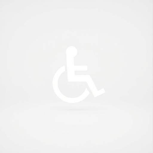 Accessibility Symbol